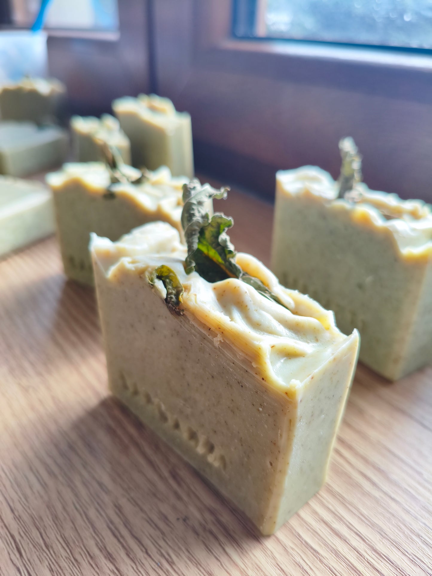 Moringa e maggiorana